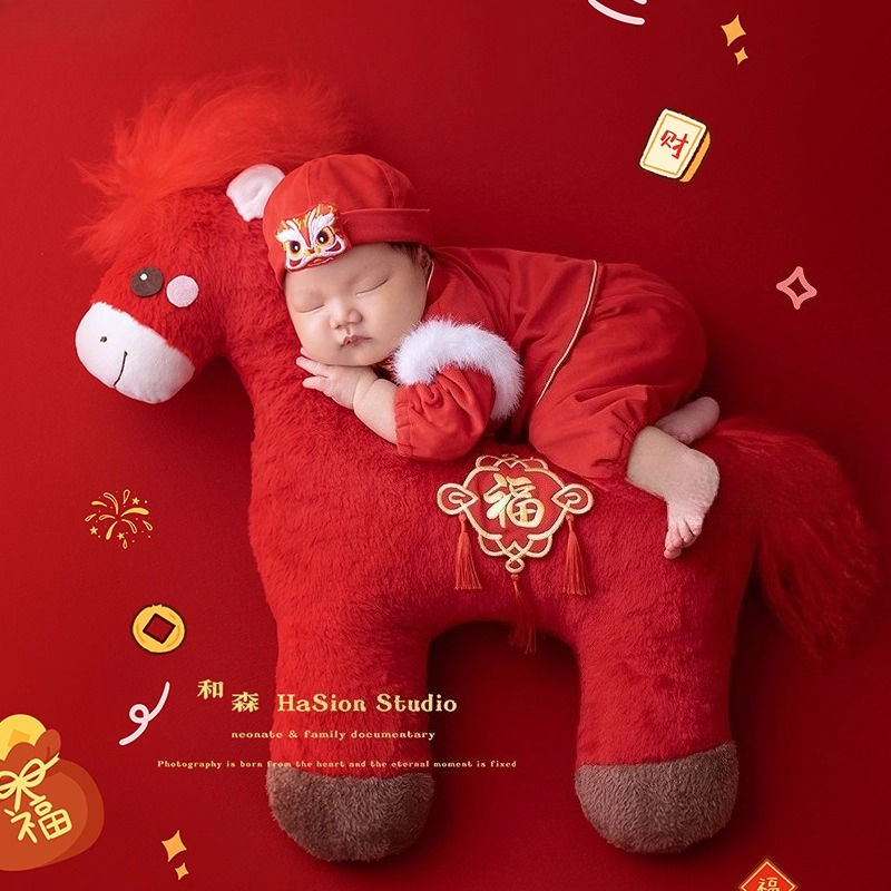 Yenidoğan Fotoğrafçılığı Akses - Photography Year incelemesi ve fiyatı